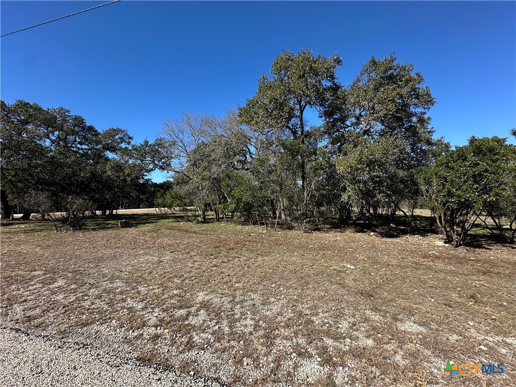 821 Wild Turkey Run Property Photo 2