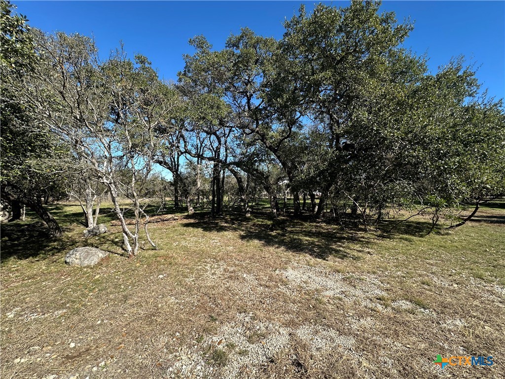 821 Wild Turkey Run Property Photo 3