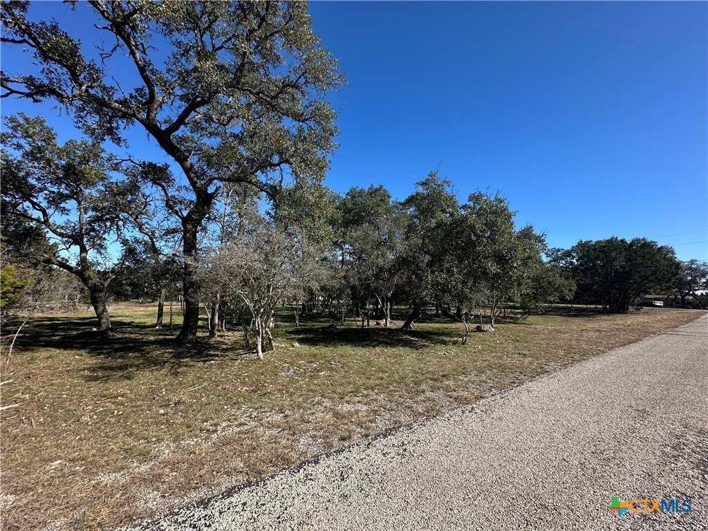 821 Wild Turkey Run Property Photo 4