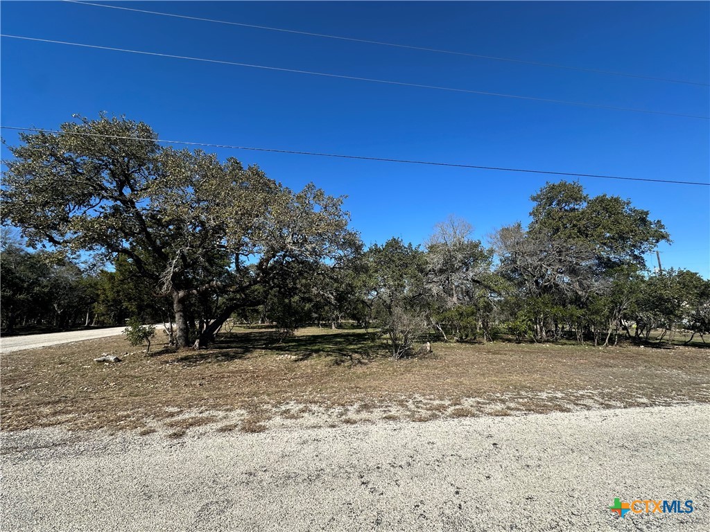 821 Wild Turkey Run Property Photo 7