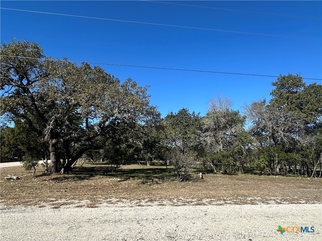 821 Wild Turkey Run Property Photo 8