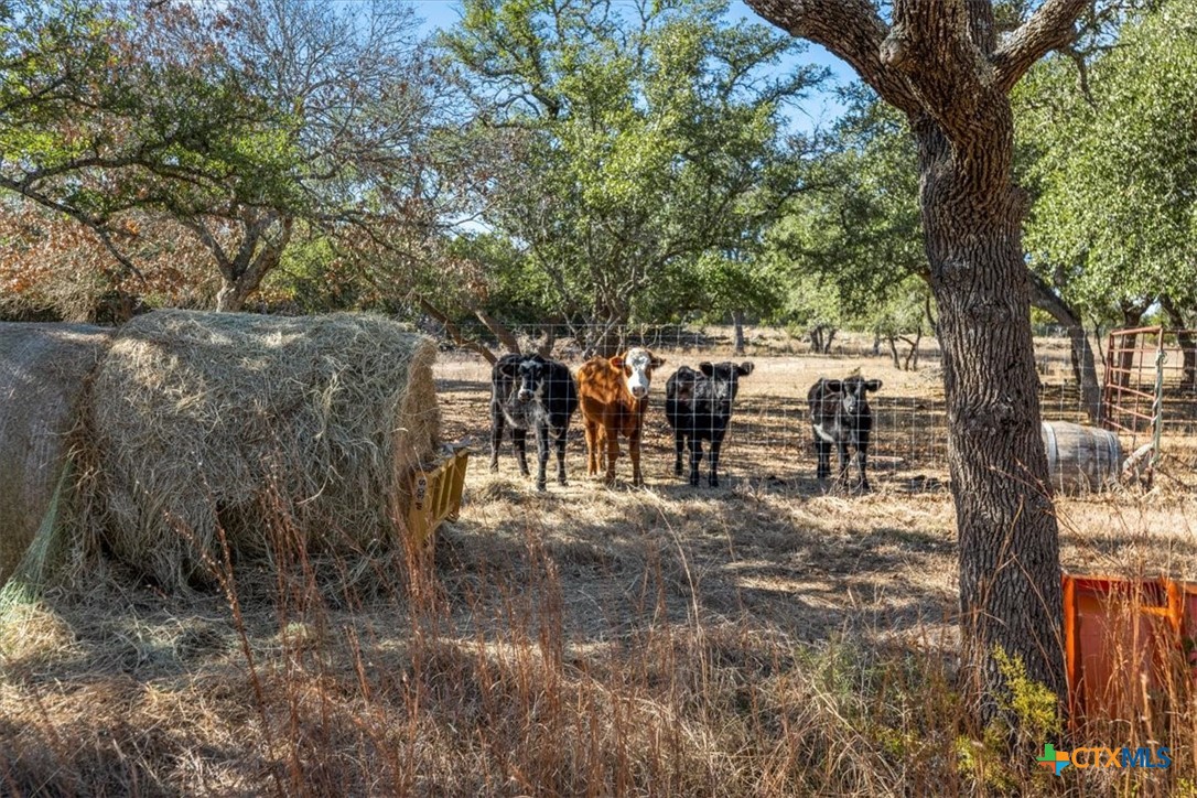 272 Rocky Road Property Photo 44