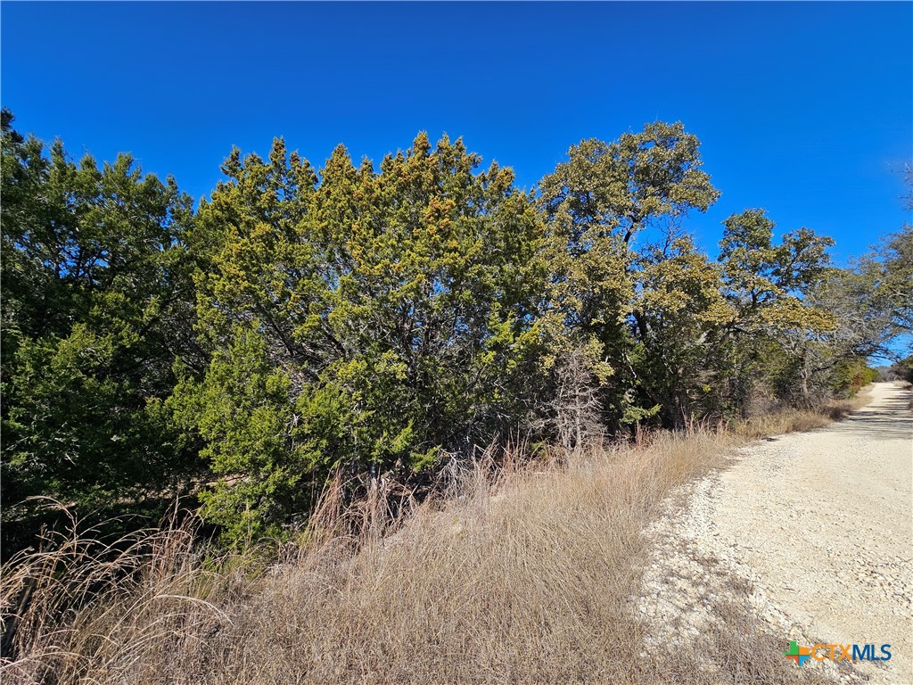 Tbd County Road 3831 Property Photo 2