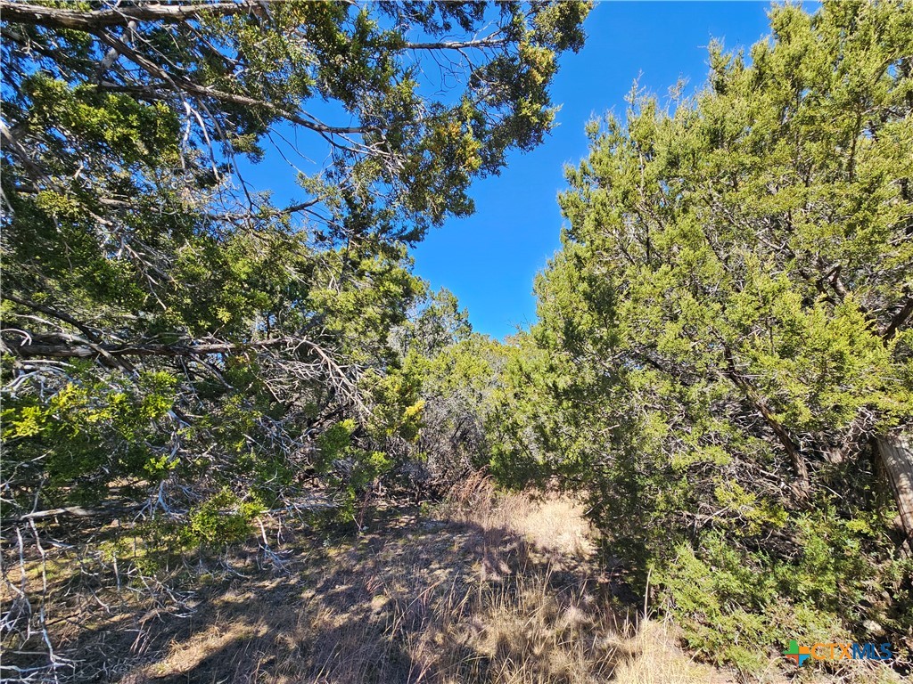 Tbd County Road 3831 Property Photo 3