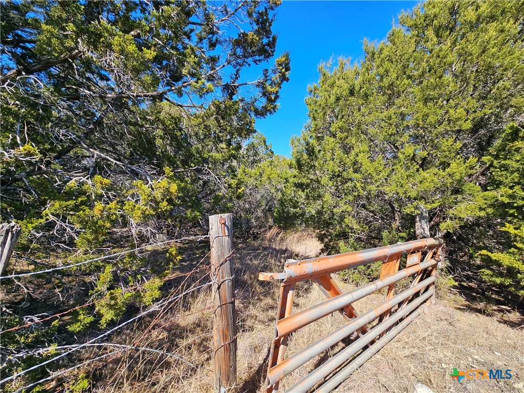 Tbd County Road 3831 Property Photo 4