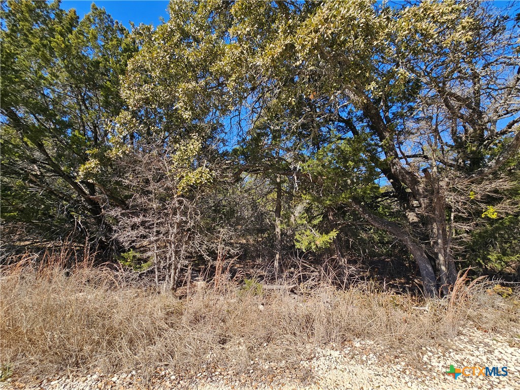 Tbd County Road 3831 Property Photo 5