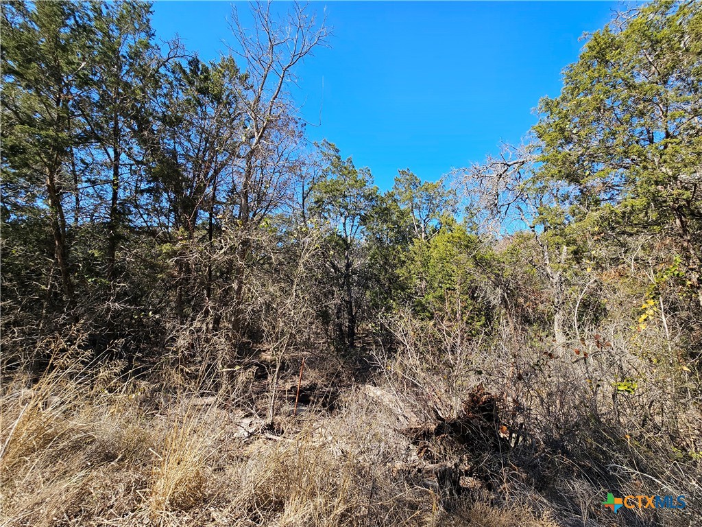 Tbd County Road 3831 Property Photo 6