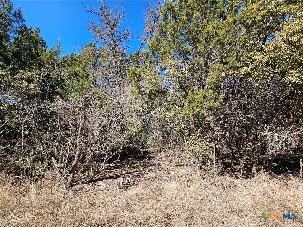 Tbd County Road 3831 Property Photo 7