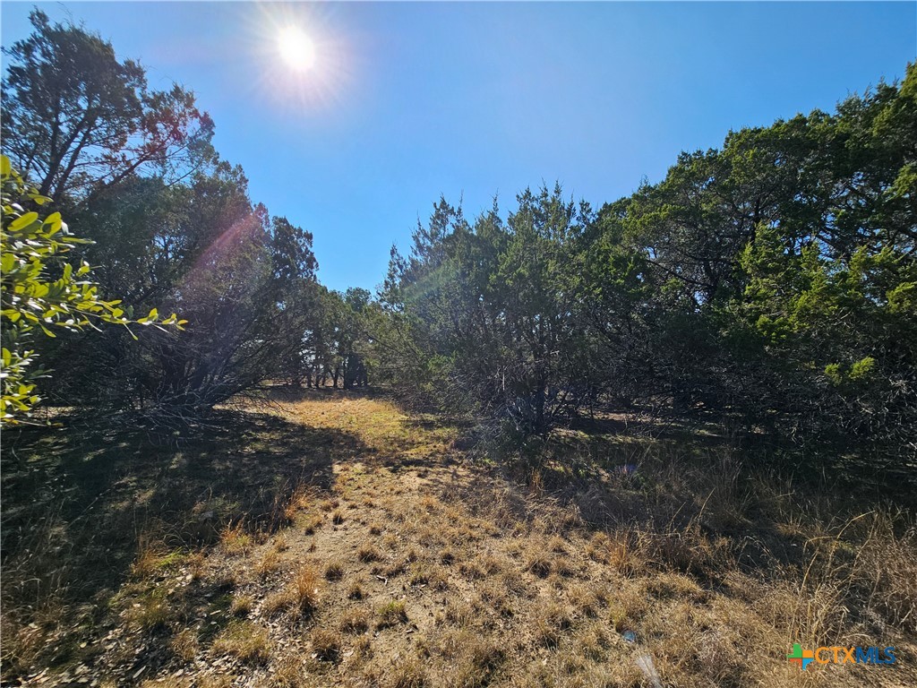 Tbd County Road 3831 Property Photo 8