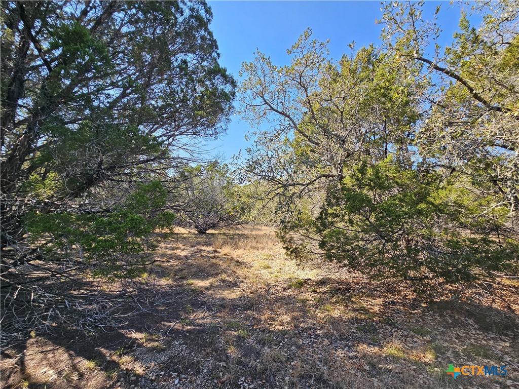 Tbd County Road 3831 Property Photo 9