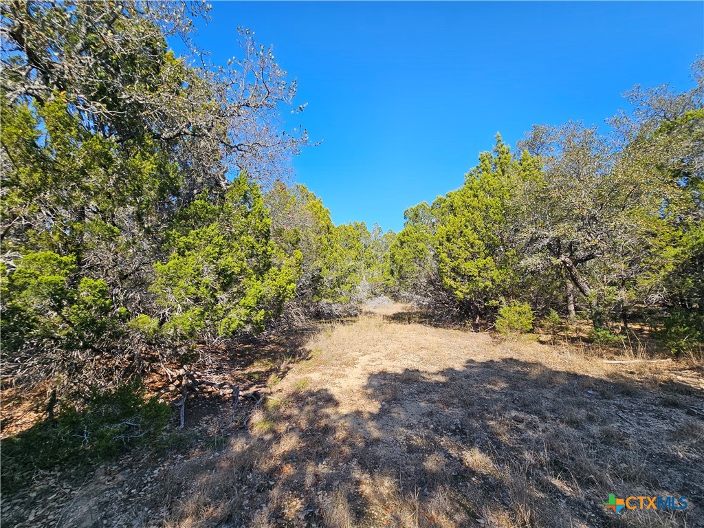 Tbd County Road 3831 Property Photo 10