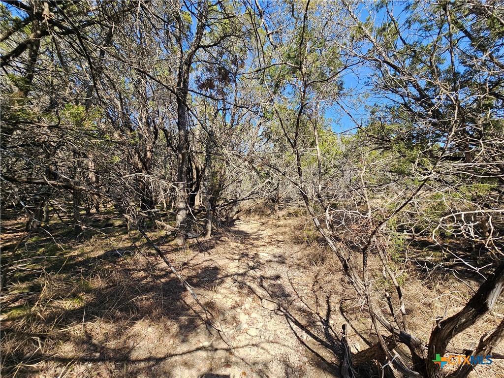 Tbd County Road 3831 Property Photo 11