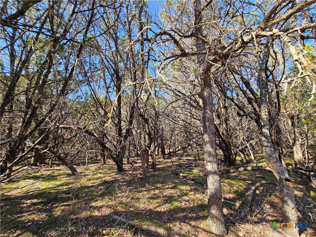 Tbd County Road 3831 Property Photo 12