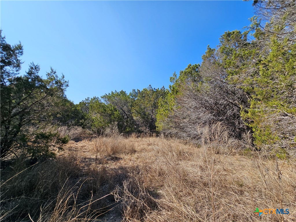 Tbd County Road 3831 Property Photo 13