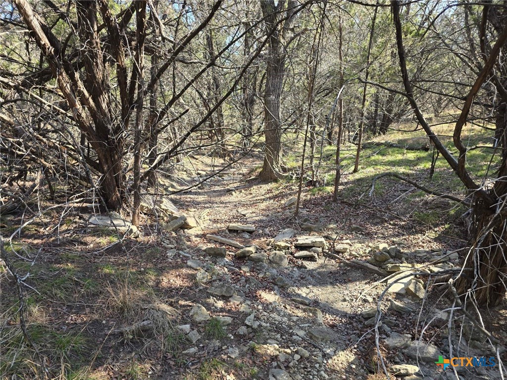 Tbd County Road 3831 Property Photo 14