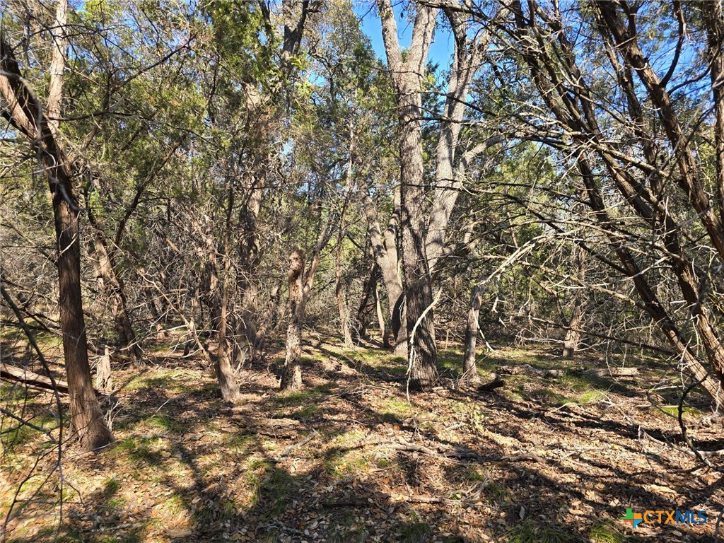 Tbd County Road 3831 Property Photo 15