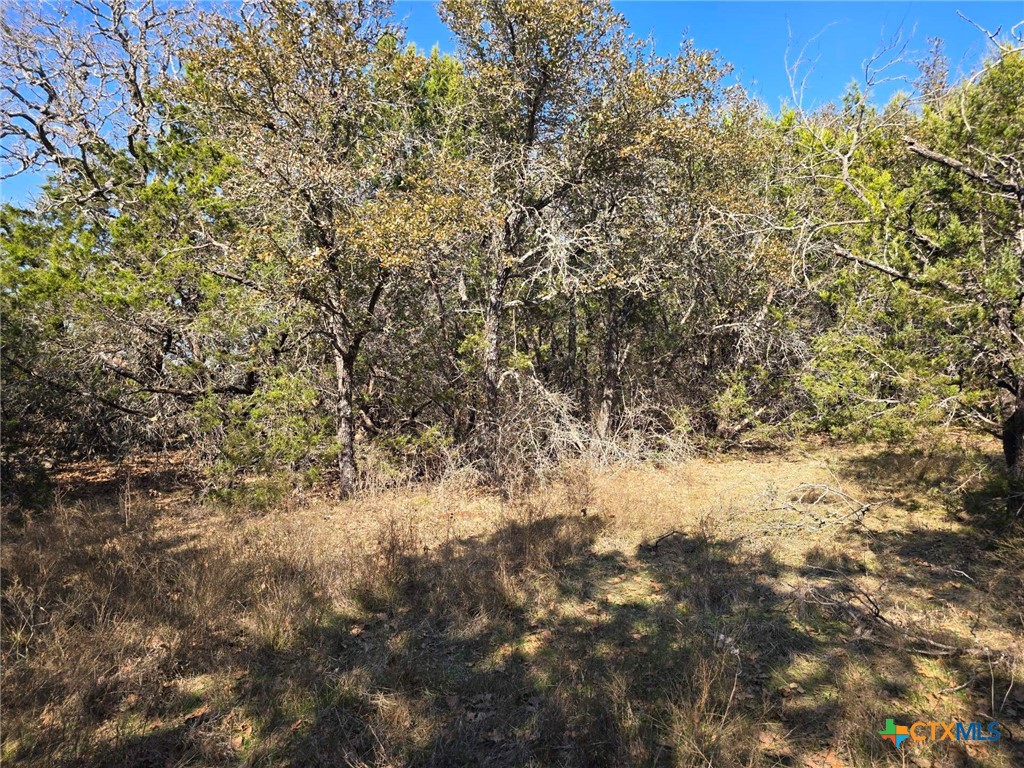 Tbd County Road 3831 Property Photo 16