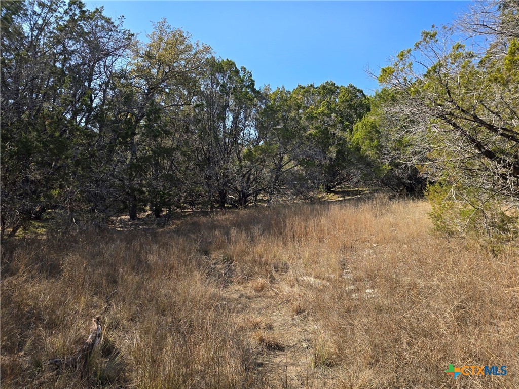 Tbd County Road 3831 Property Photo 17