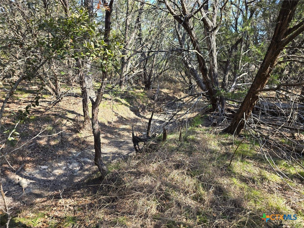 Tbd County Road 3831 Property Photo 21