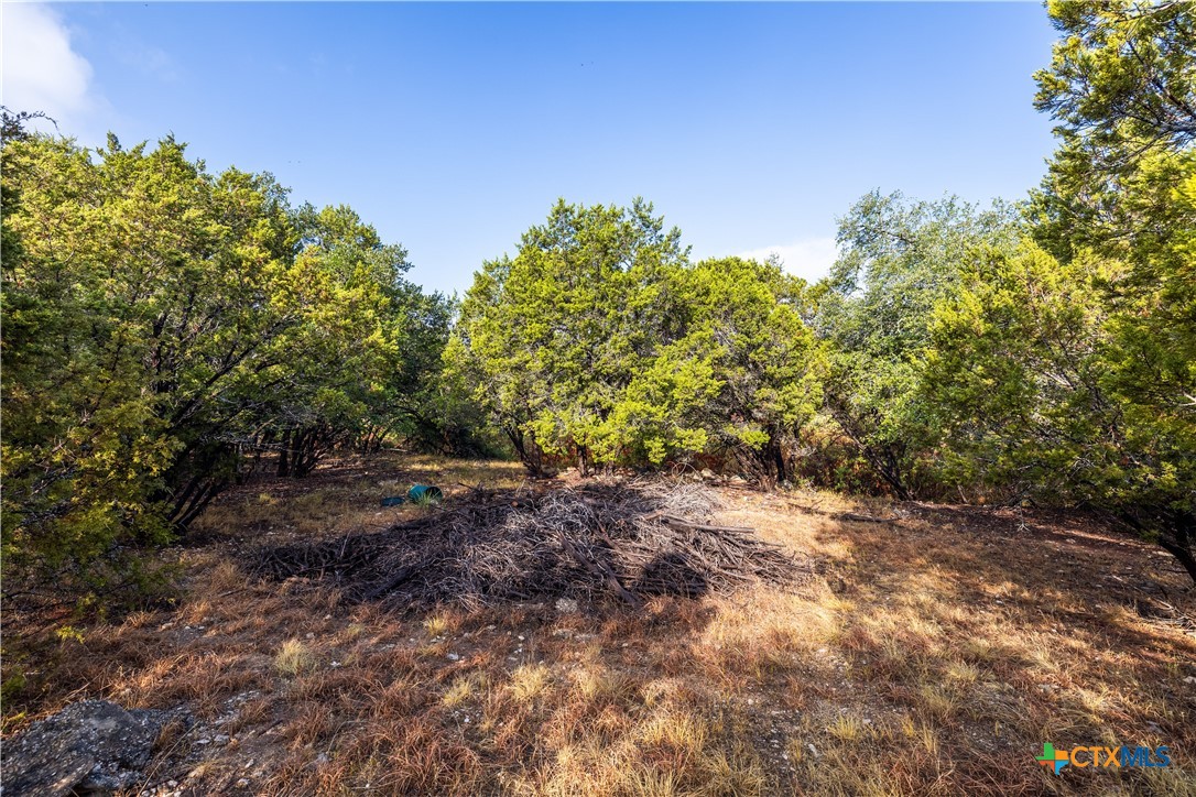 21402 Broken Bow Cove Property Photo 4