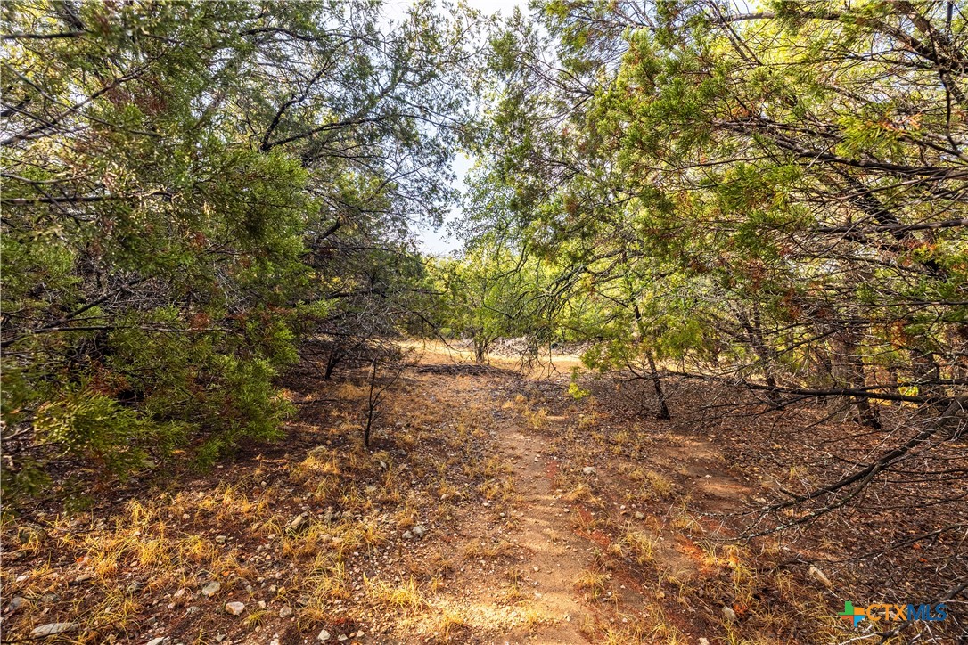21402 Broken Bow Cove Property Photo 5