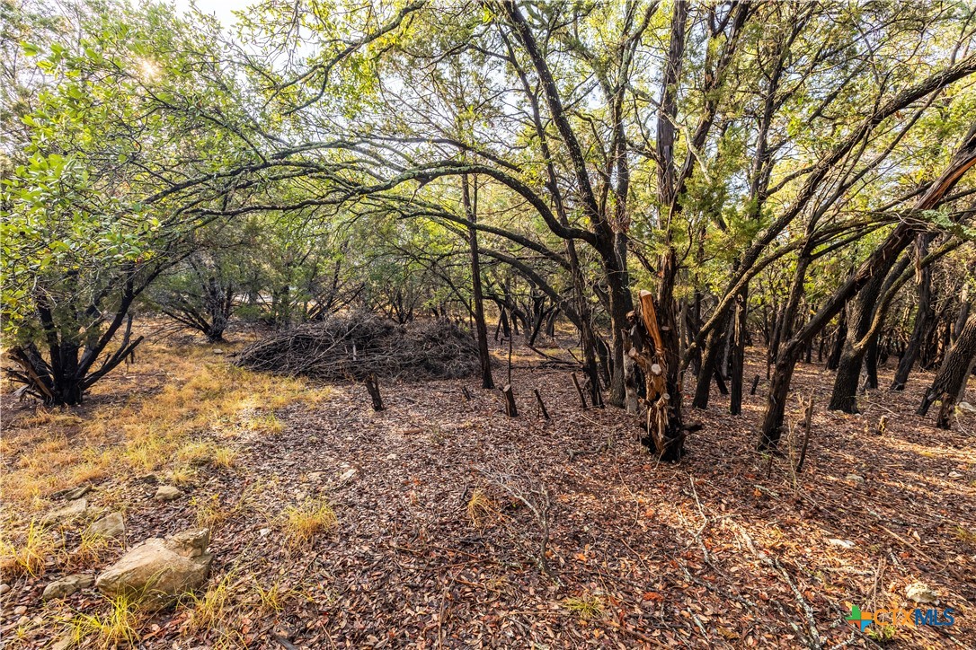 21402 Broken Bow Cove Property Photo 6