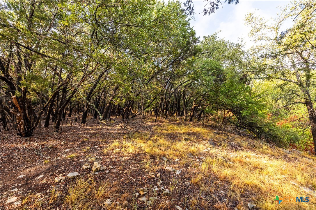21402 Broken Bow Cove Property Photo 7