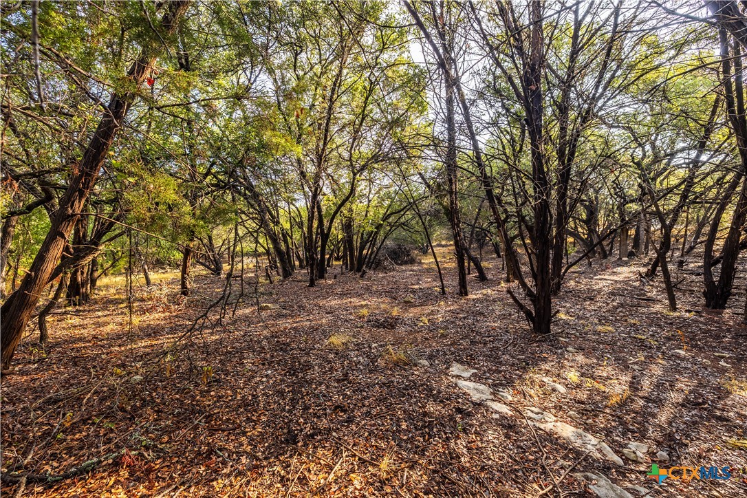21402 Broken Bow Cove Property Photo 8