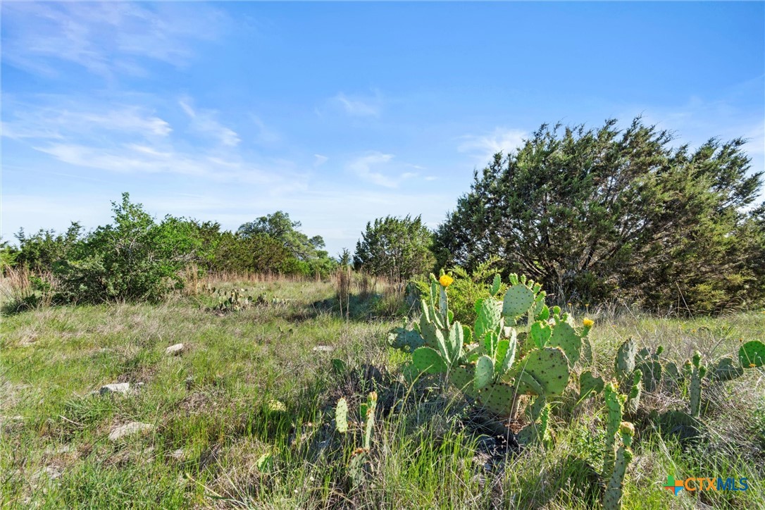 Tbd Indian Sky Court Property Photo 3