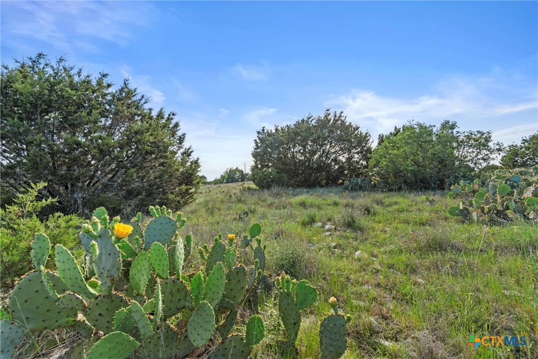 Tbd Indian Sky Court Property Photo 13