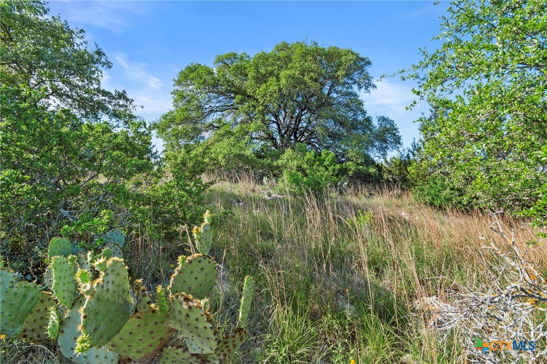 Tbd Indian Sky Court Property Photo 17
