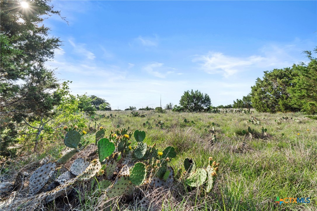 Tbd Indian Sky Court Property Photo 18
