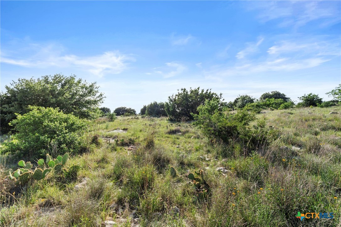Tbd Indian Sky Court Property Photo 19