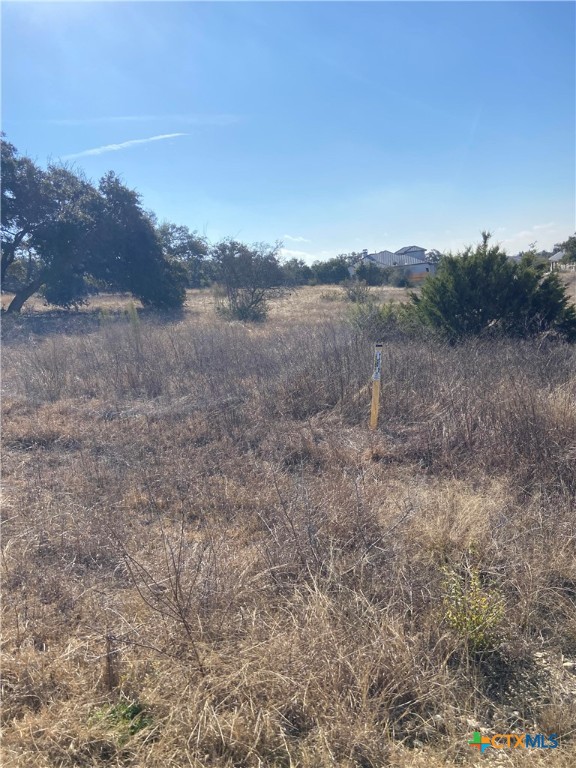 713 Fossil Springs Drive Property Photo 2