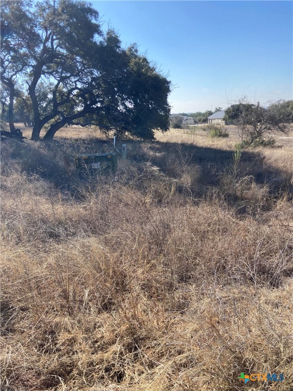 713 Fossil Springs Drive Property Photo 3