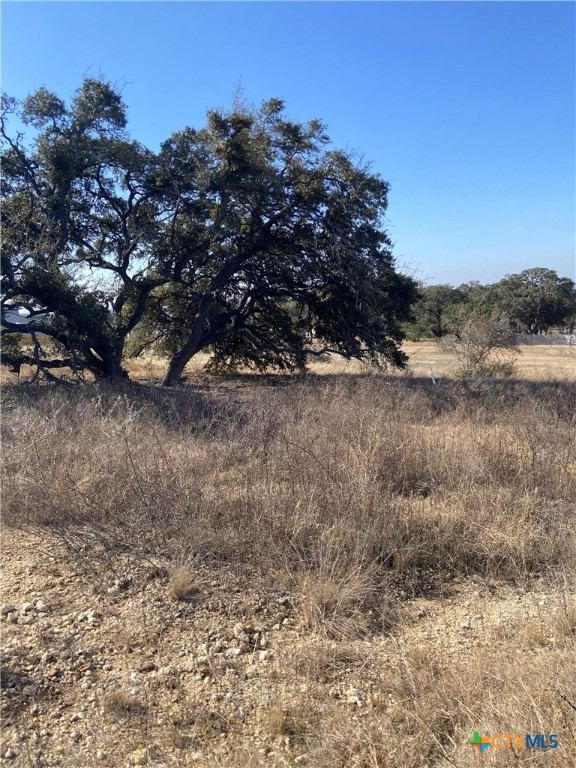713 Fossil Springs Drive Property Photo 4
