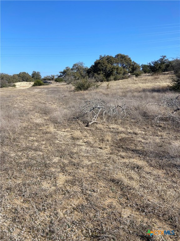 713 Fossil Springs Drive Property Photo 9