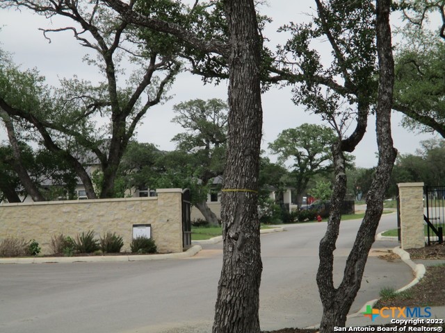 713 Fossil Springs Drive Property Photo 12