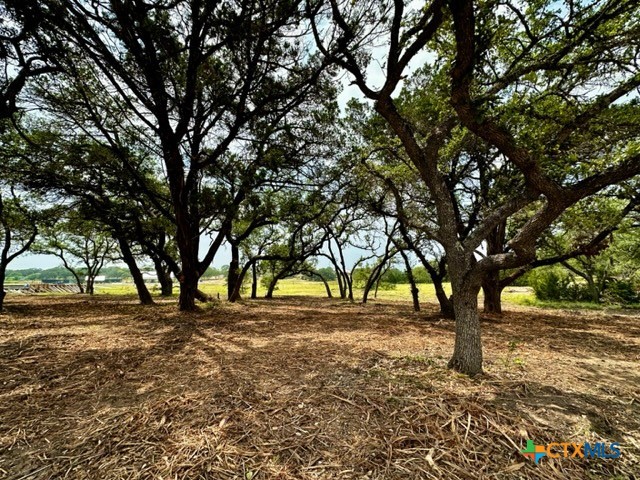 34741 Carries Crk Property Photo 3