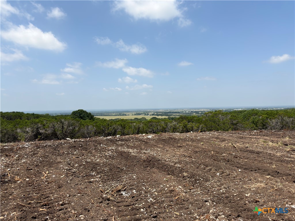 Tbd Fm 2955 Property Photo 2