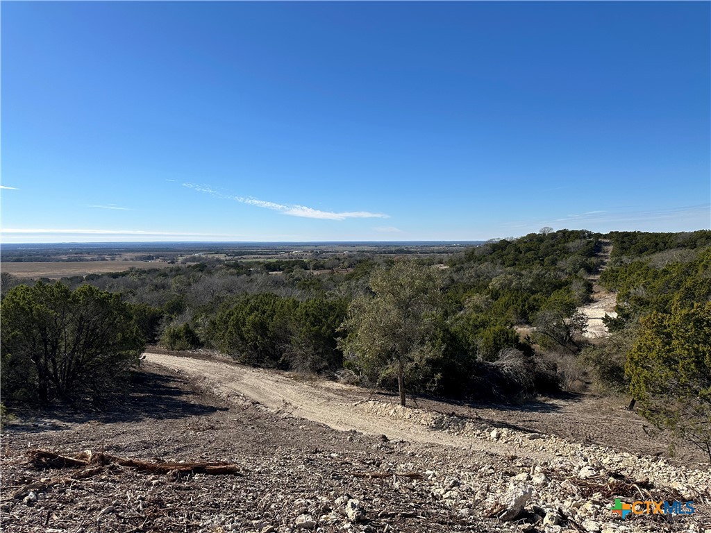 Tbd Fm 2955 Property Photo 3