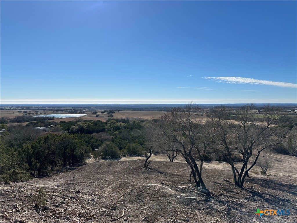 Tbd Fm 2955 Property Photo 5
