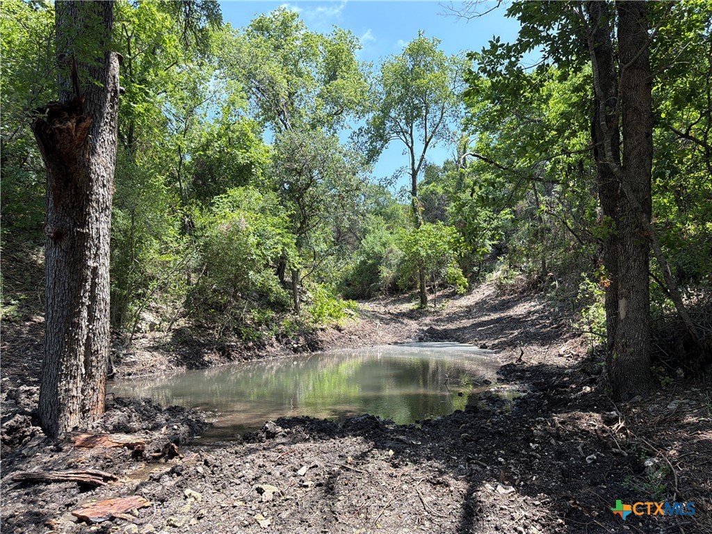 Tbd Fm 2955 Property Photo 5
