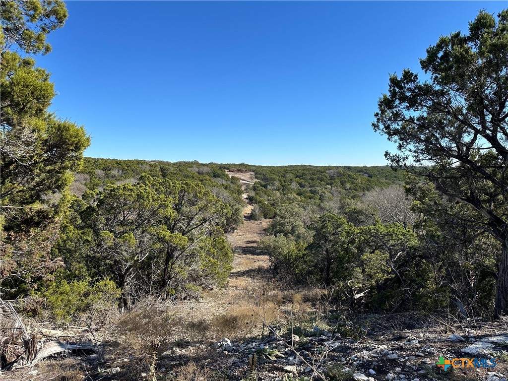 Tbd Fm 2955 Property Photo 6