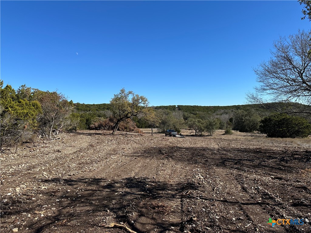 Tbd Fm 2955 Property Photo 8