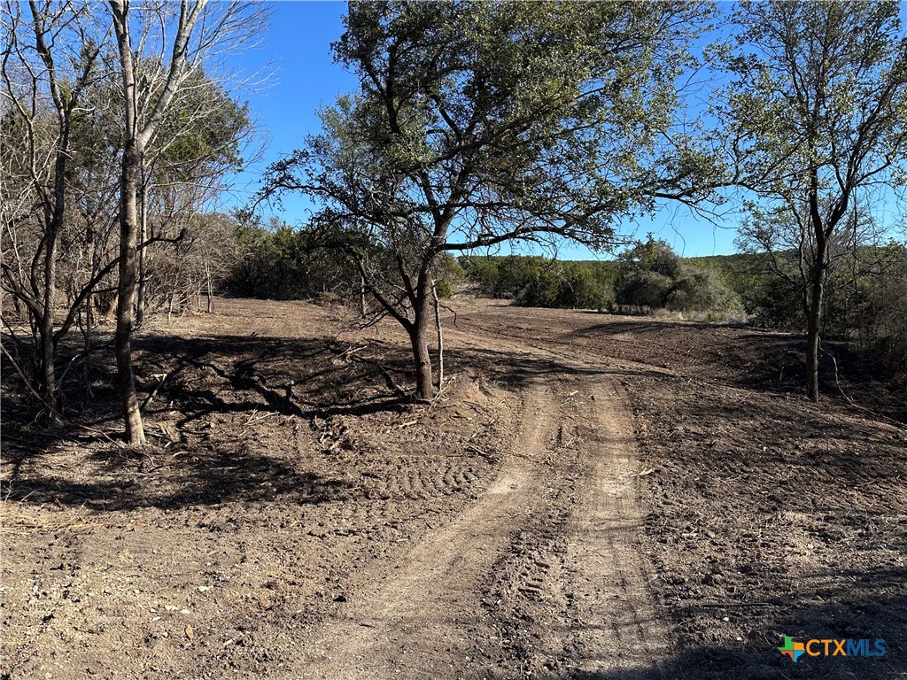 Tbd Fm 2955 Property Photo 9