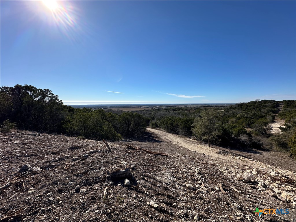 Tbd Fm 2955 Property Photo 10