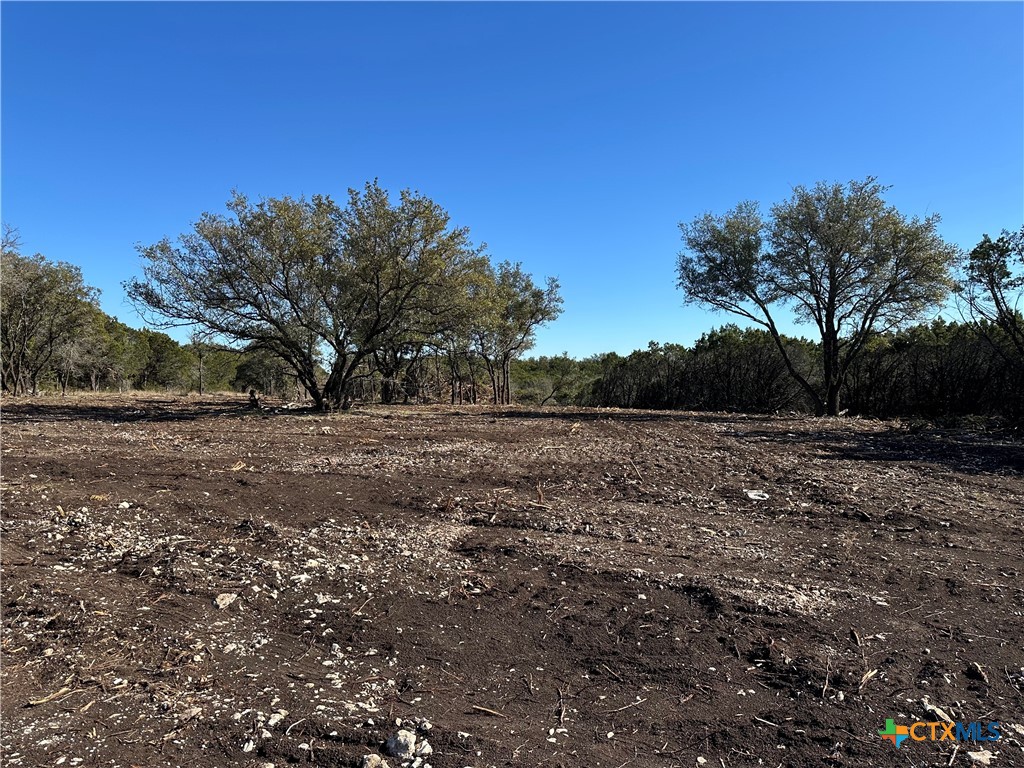 Tbd Fm 2955 Property Photo 11