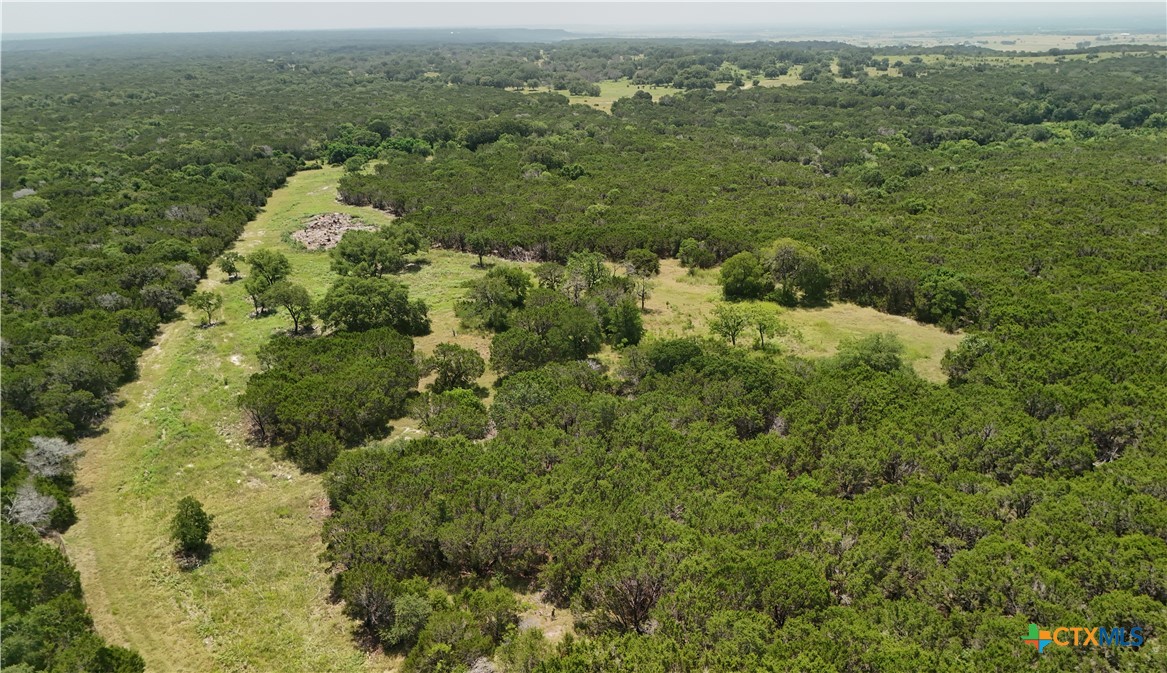Tbd Fm 2955 Property Photo 12