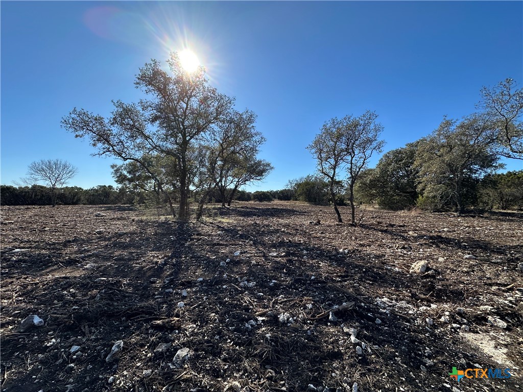 Tbd Fm 2955 Property Photo 13